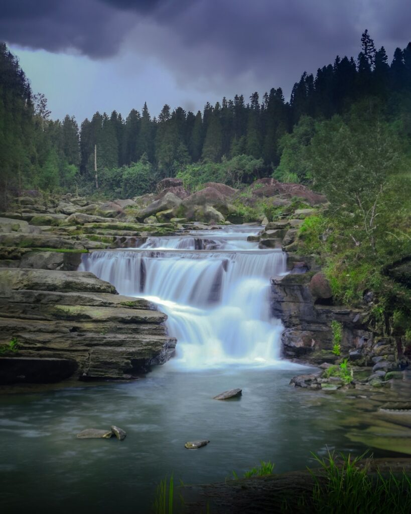 a waterfall in the middle of a forest