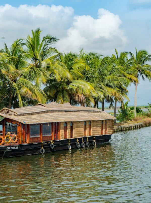 brown wooden boat on body of water near green palm trees during daytime