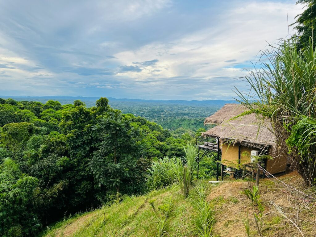 a house in a wooded area