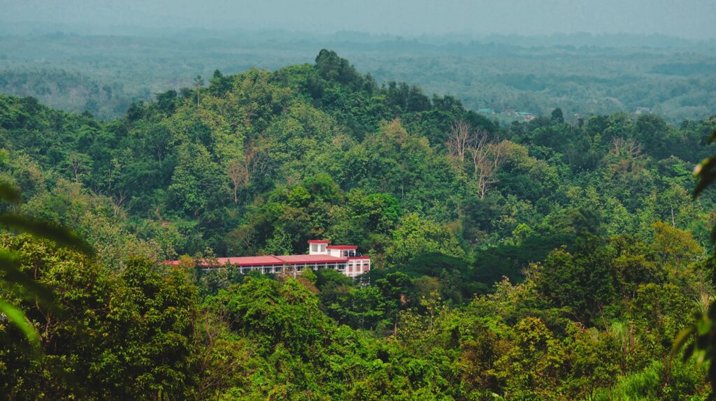 a house in the middle of a lush green forest