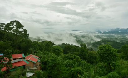 a group of houses surrounded by trees