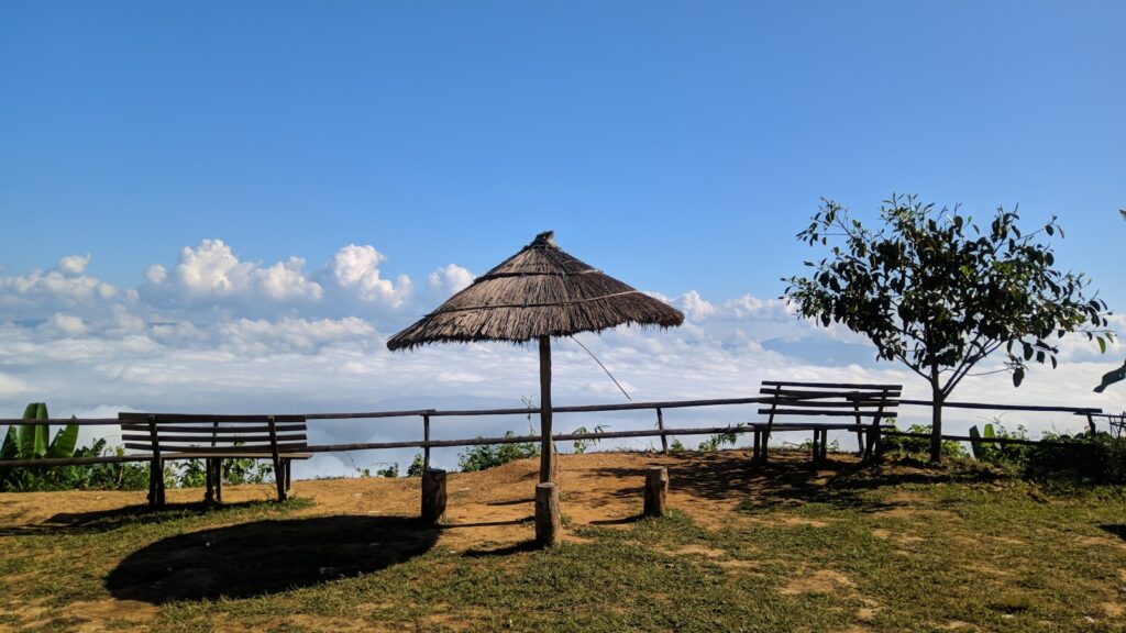 two wooden benches sitting on top of a lush green hillside