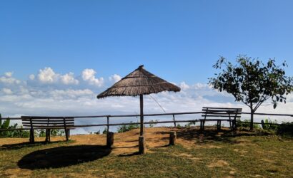 two wooden benches sitting on top of a lush green hillside